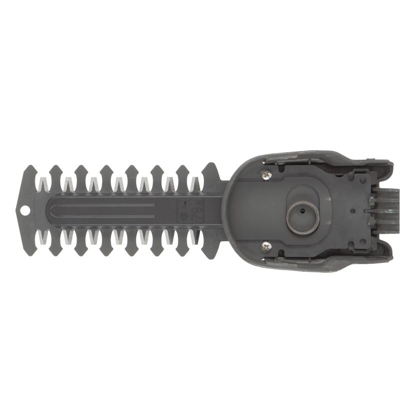 Strauchmesser 12,5 cm