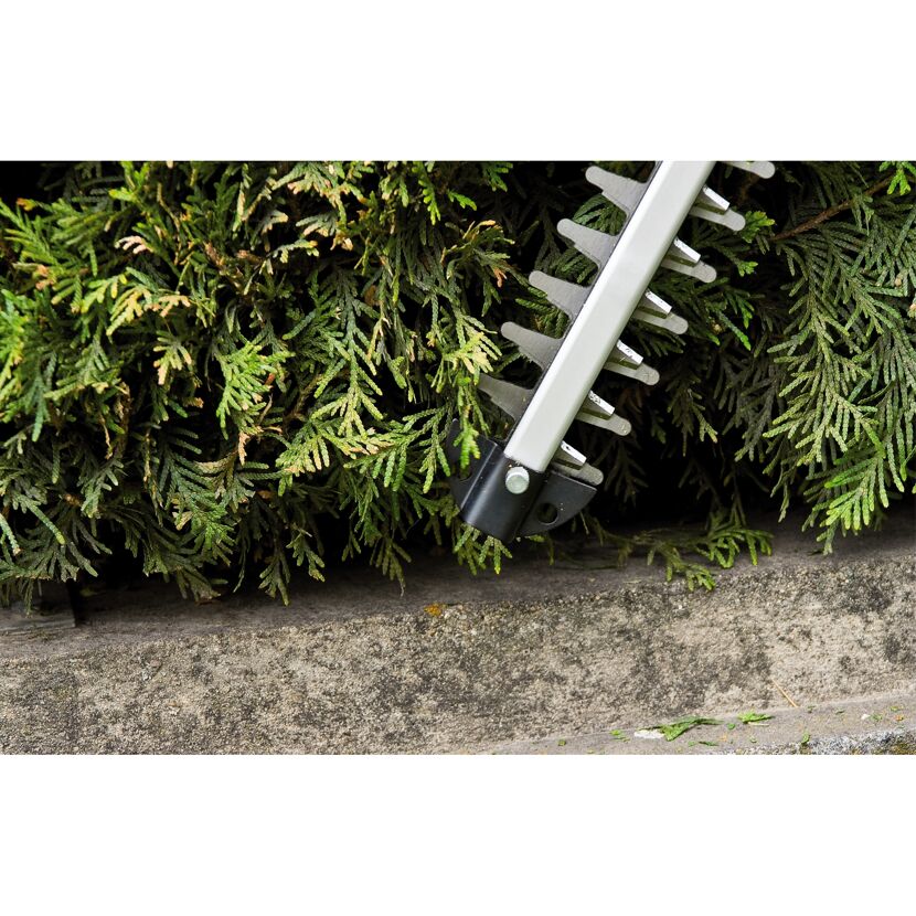 Heckenschere schneidet Hecke