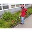 Person schneidet Hecke mit Akku-Teleskop-Heckenschere