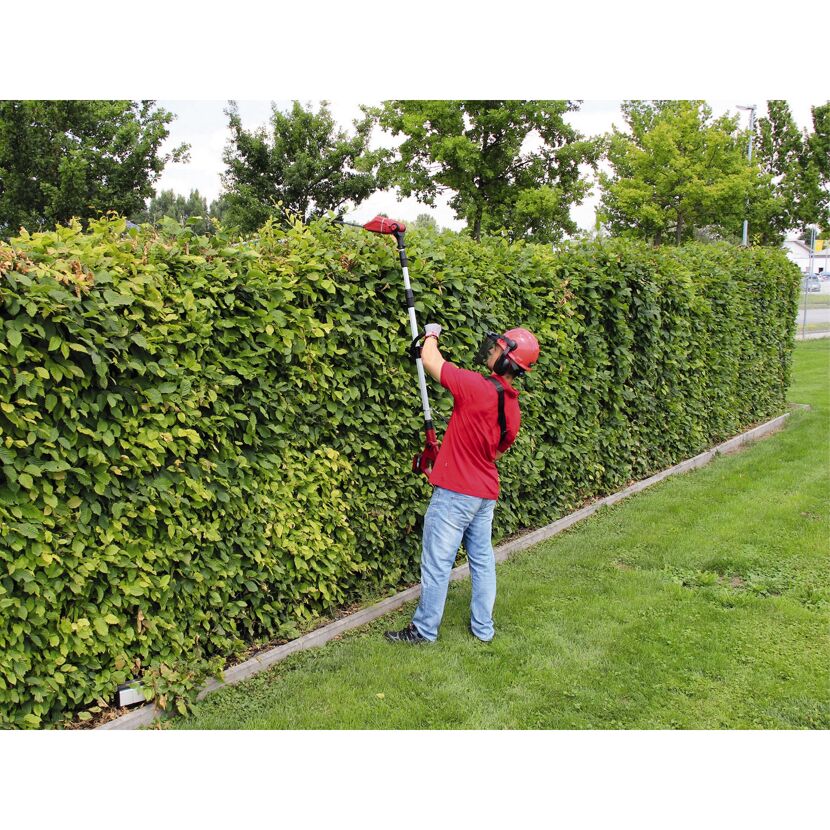 Person schneidet Hecke mit Akku-Teleskop-Heckenschere