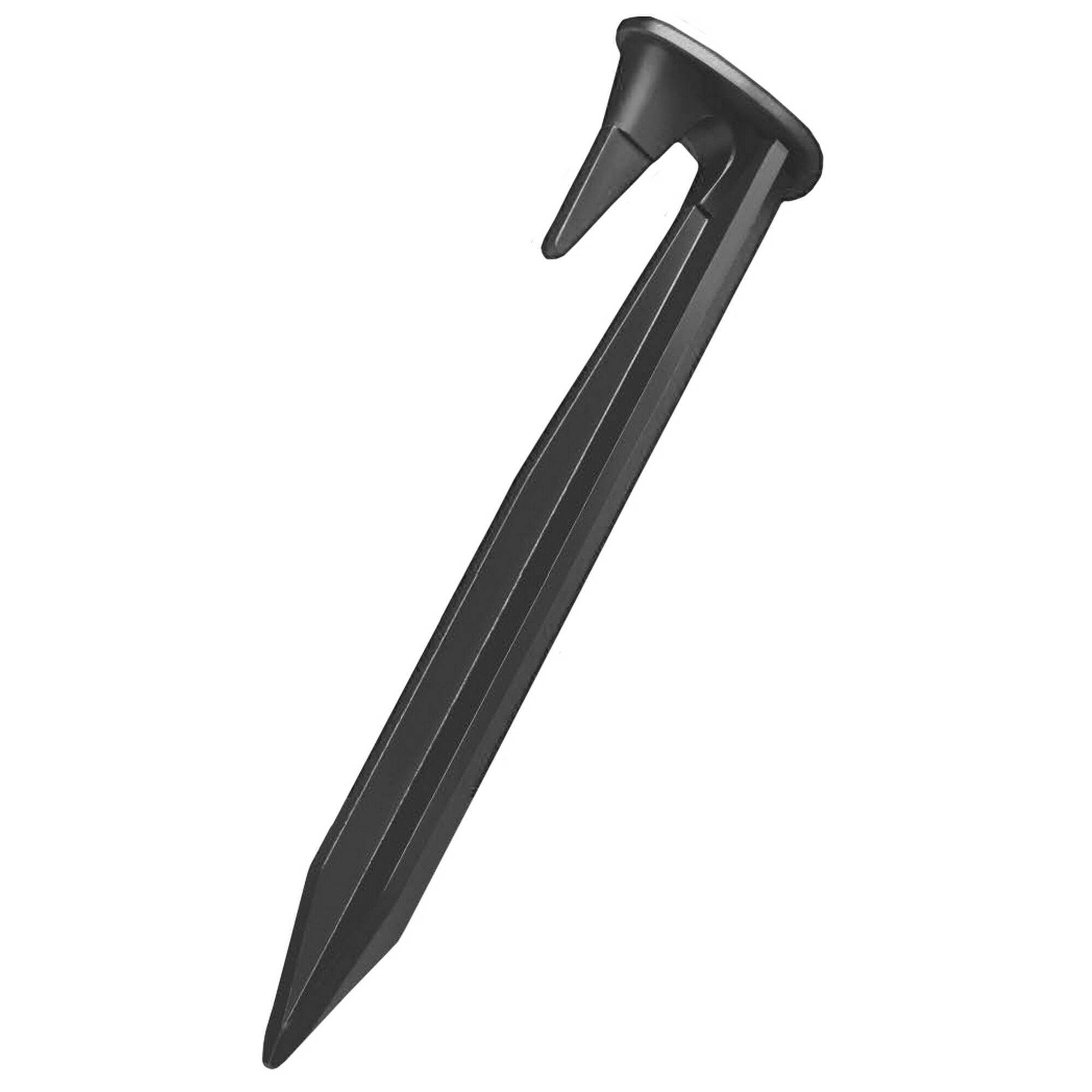 Schwarzer Bodennagel