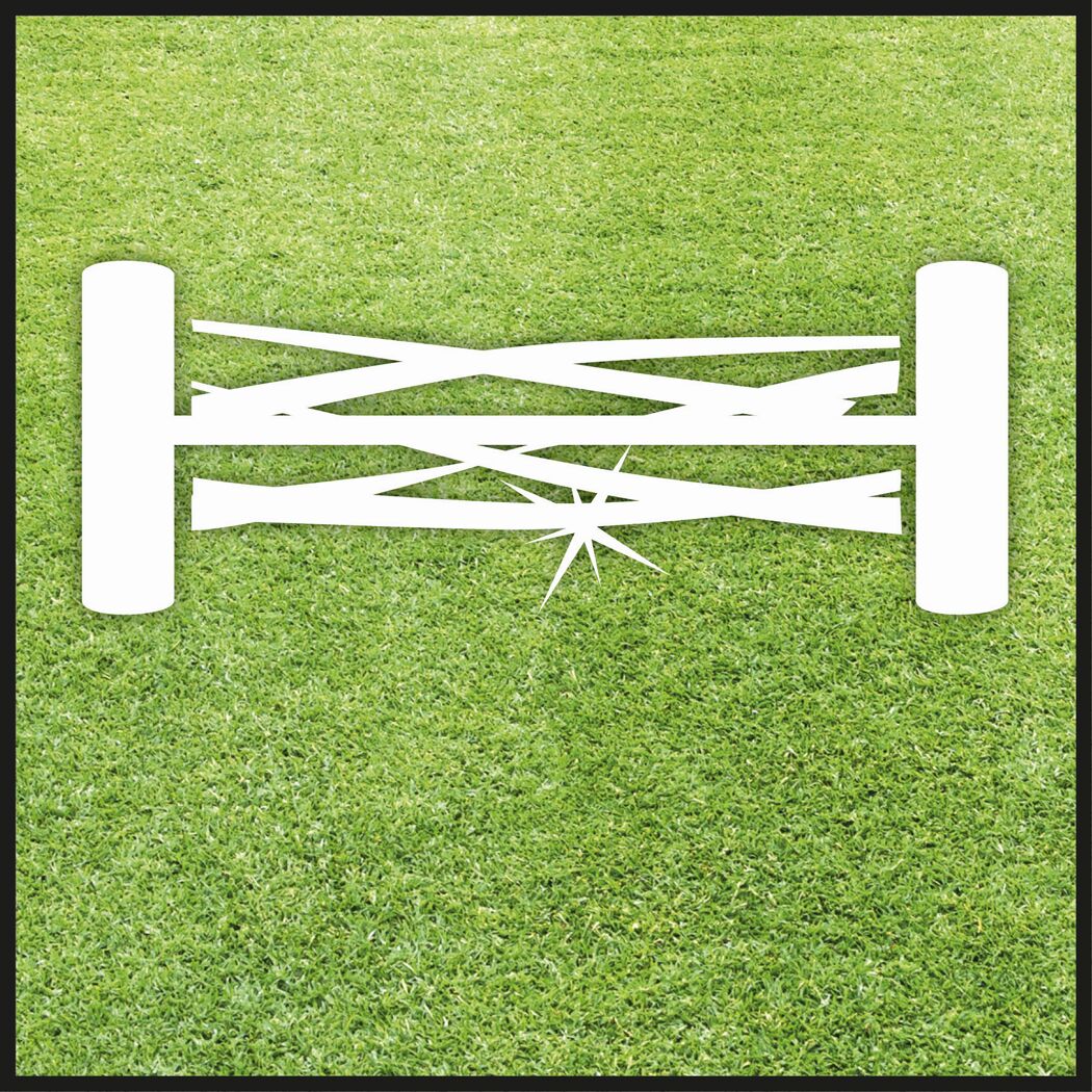 Grafik: Präziser Grasschnitt mit Spindelmäher.