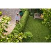Person schneidet Hecke mit Heckenschere