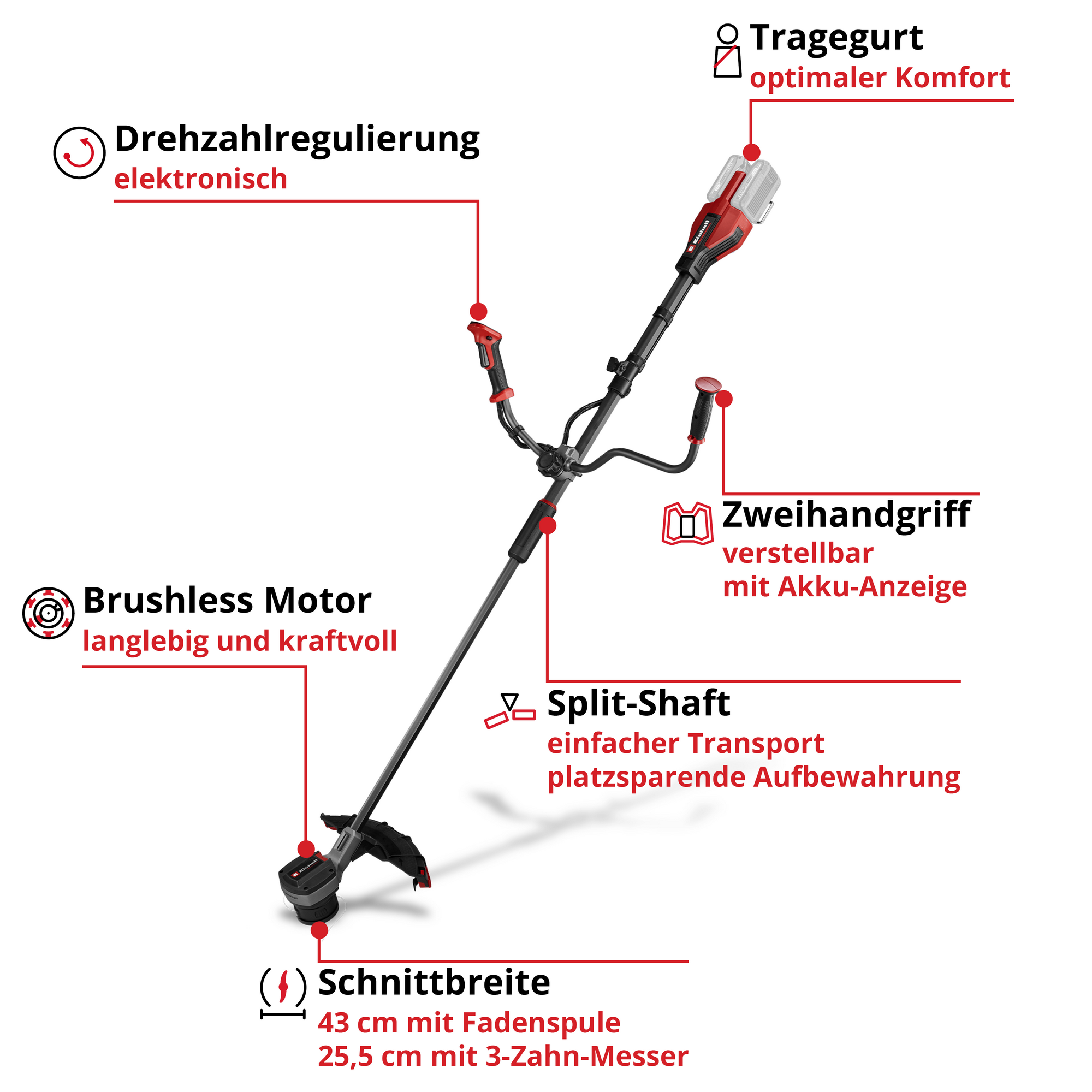 Akku-Sense 'Professional GP-BC 36/430 Li BL - Solo' ohne Akku und Ladegerät + product picture