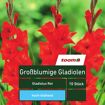 hauptbild