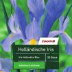 hauptbild