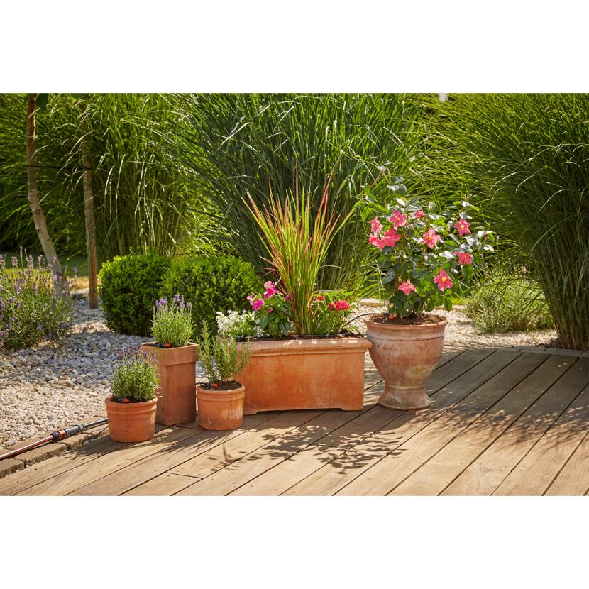 Blumen und Pflanzen in Töpfen auf einer Holzterrasse mit Micro-Drip-System.