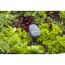 GARDENA smart Sensor im Beet zwischen Salat und Karotten.