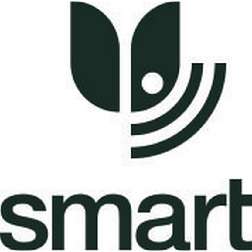 Smart Logo