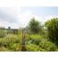 Spiralschlauch-Set 'city gardening' Ø 9 mm 7,5 m