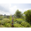 Verkleinertes Bild von Spiralschlauch-Set 'city gardening' Ø 9 mm, 7,5 m