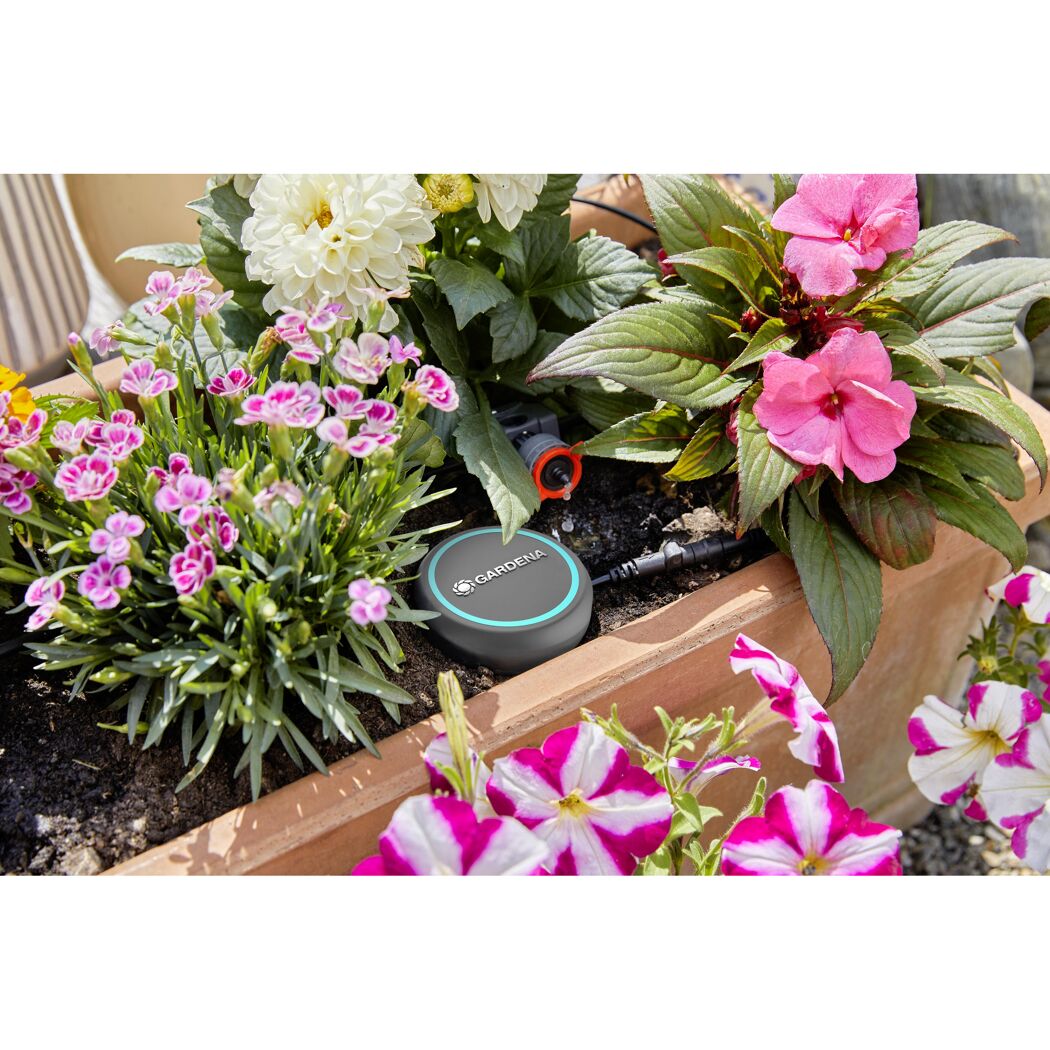 Gardena Bodenfeuchtesensor im Blumenkasten