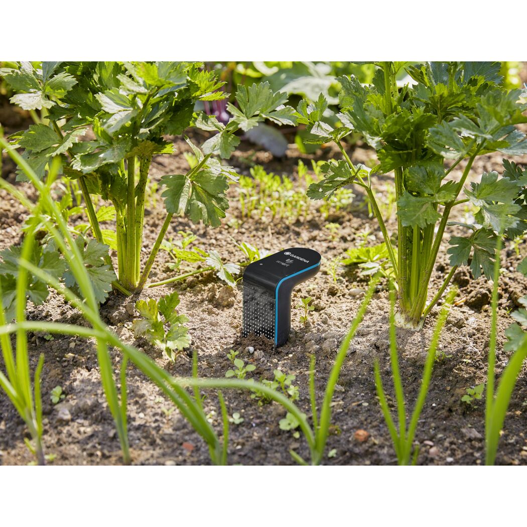 Gardena Smart Sensor im Beet