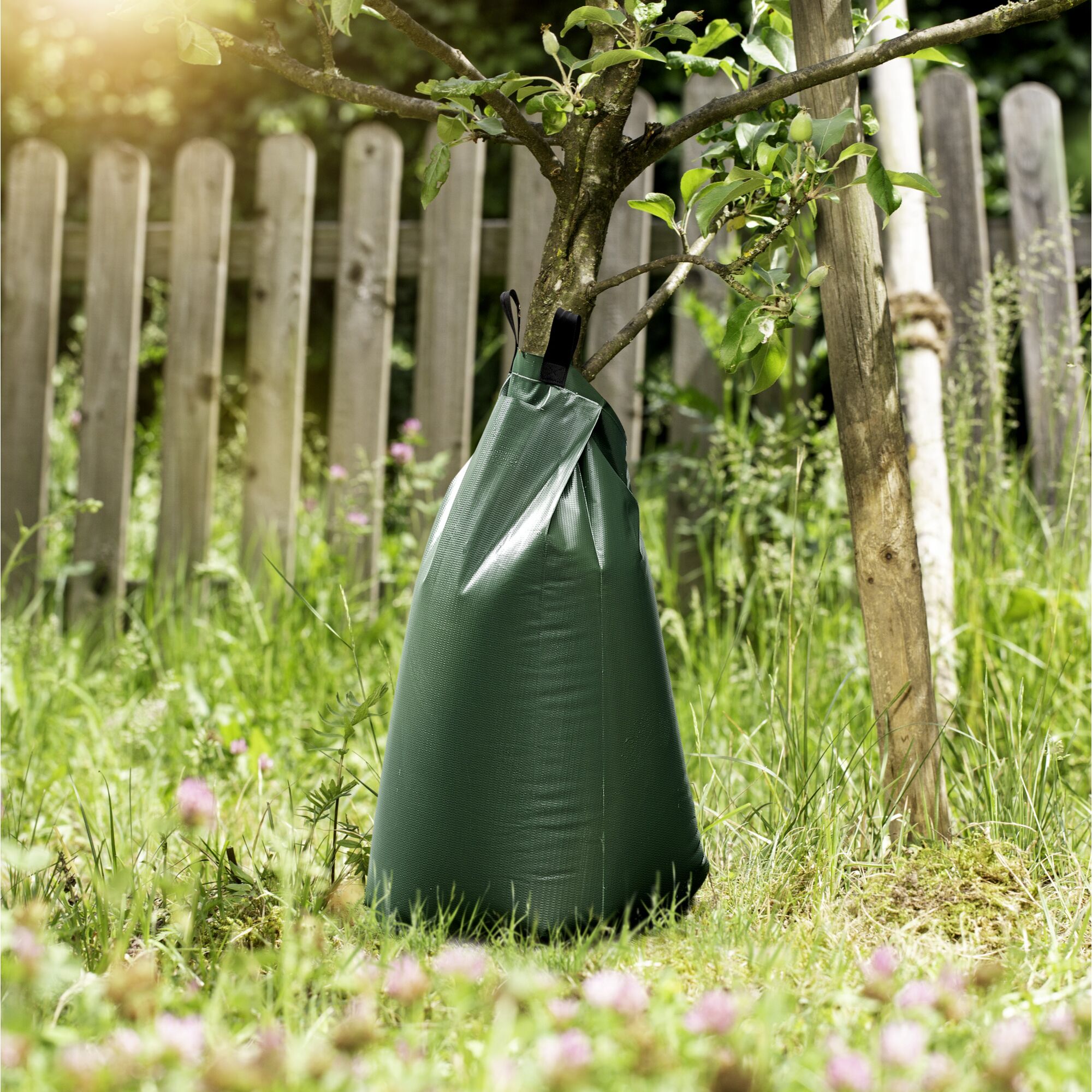 Grüner Bewässerungsbeutel am Baumstamm