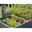 Verkleinertes Bild von Bewässerungs-Set 'Micro-Drip-System Beet automatic' 19 mm (3/4") zugunsten von UNICEF