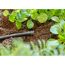 Verschlussstopfen 'Micro-Drip-System' 3/16"