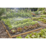 Verkleinertes Bild von Tropfbewässerungsset 'Micro-Drip-System' für Gemüse- und Blumenbeete