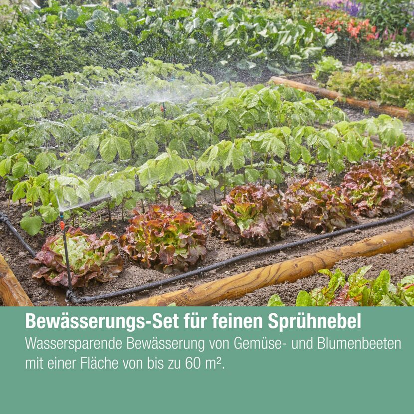 Bewässerung von Gemüse und Blumen mit Sprühnebel