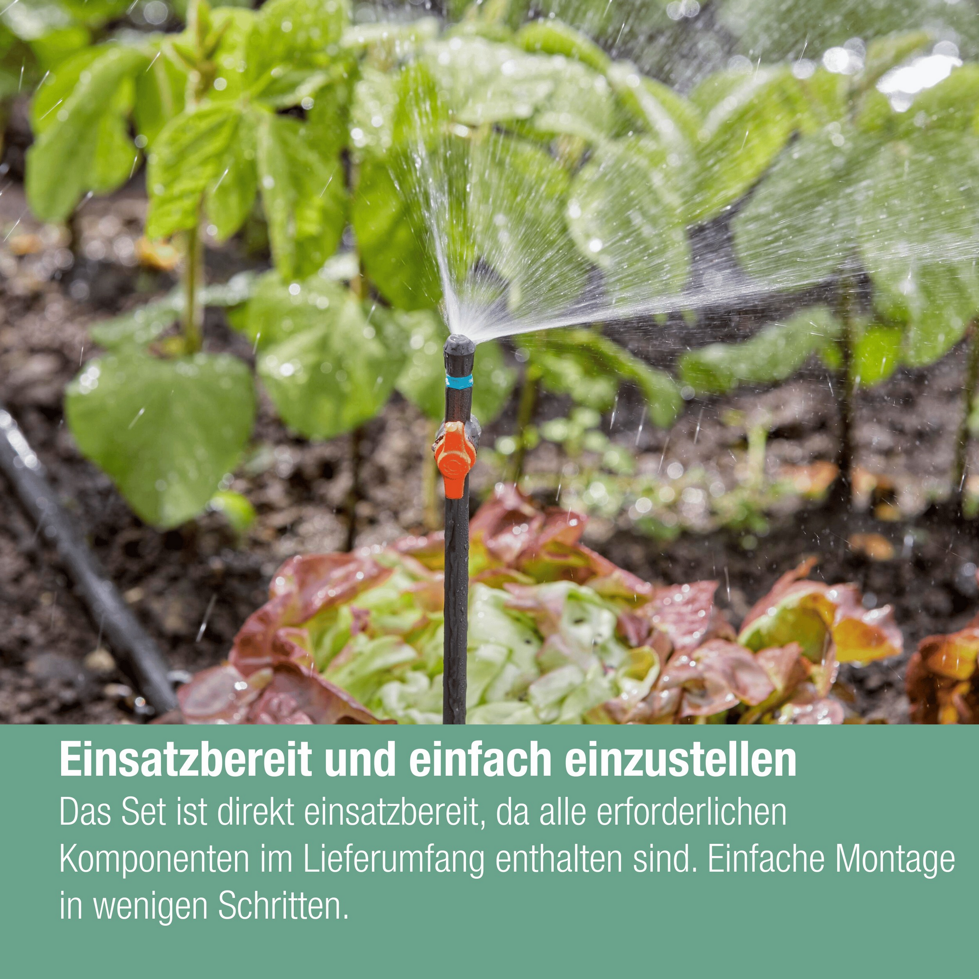 Tropfbewässerungsset 'Micro-Drip-System' für Gemüse- und Blumenbeete + product picture