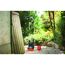 Gartenpumpe neben Regentonne