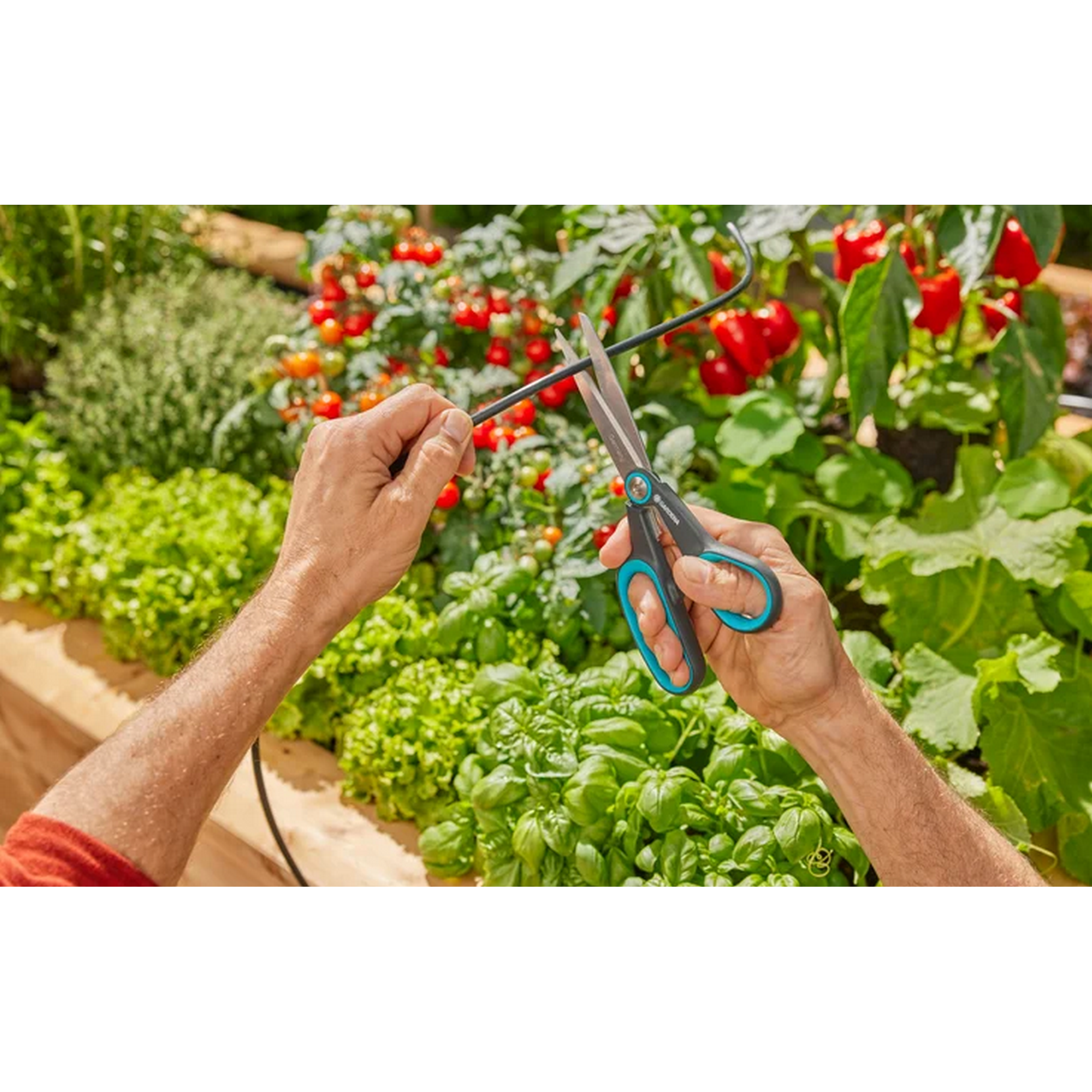 Solar-Bewässerungs-Set 'AquaBloom L' automatische Bewässerung