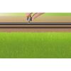 Anschlussset "Profi-System" für Pipeline- und Sprinklersystem 3-tlg.