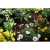 Tropfrohr Micro-Drip-System zur Bewässerung von Blumen