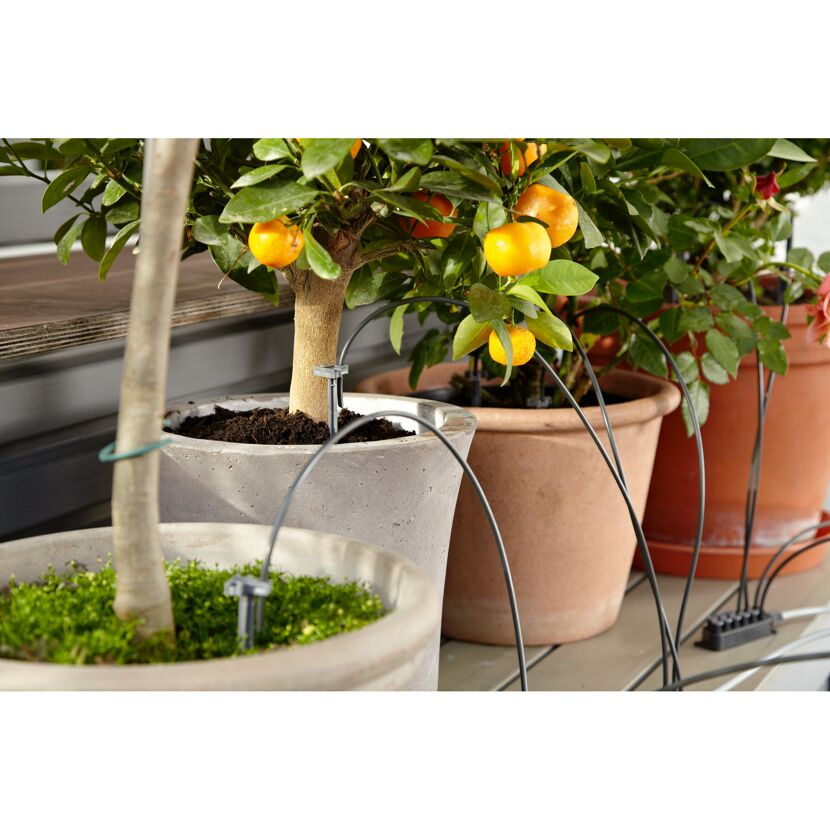 Urlaubsbewässerung-Set 'citygardening'