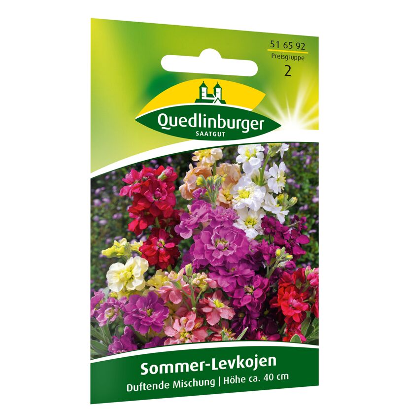 Sommer-Levkojen duftend, Mischung