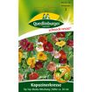 hauptbild
