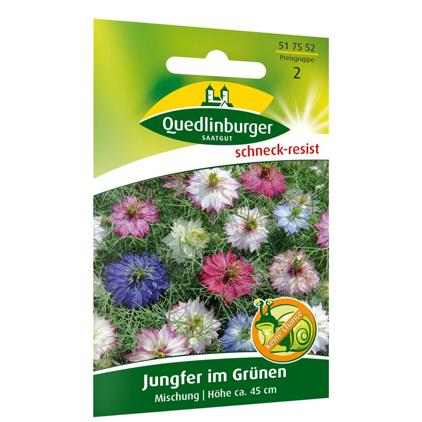 Jungfer im Grünen Mischung