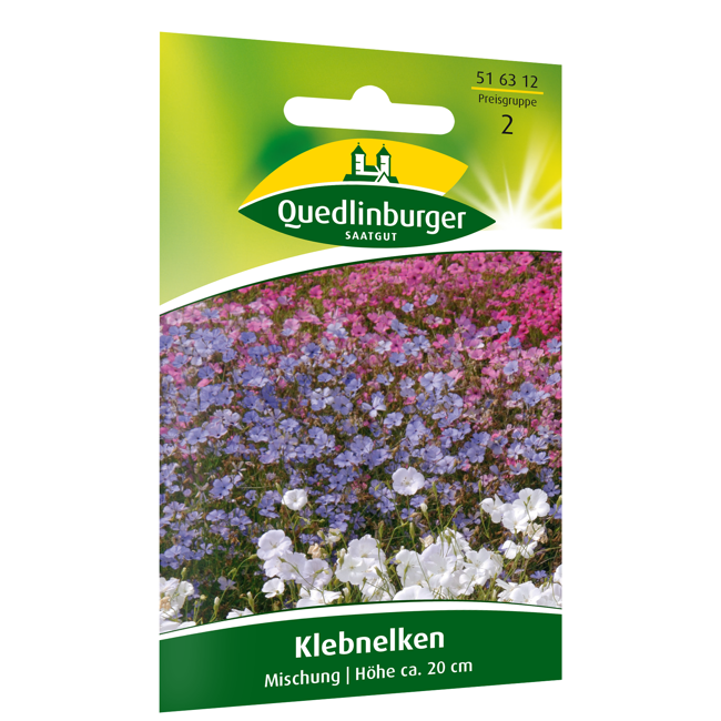Bild von Klebnelken Mischung