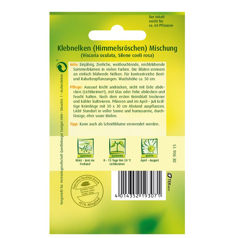 Klebnelken Mischung