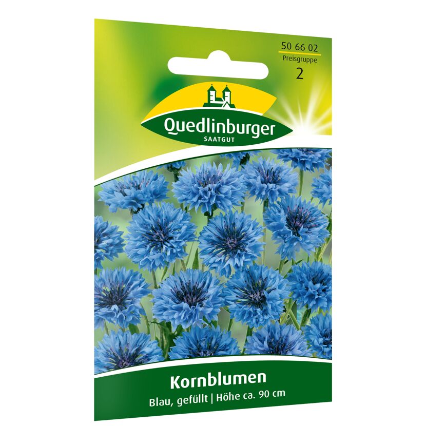 Kornblumen blau, gefüllt