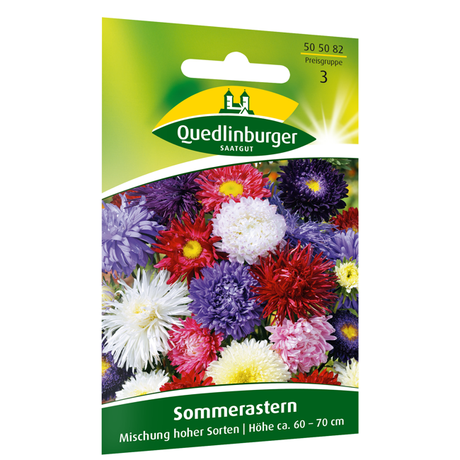 Bild von Sommerastern Mischung hoher Sorten