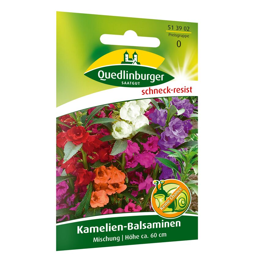 Kamelien-Balsaminen Mischung