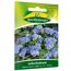 Leberbalsam 'Blaues Meer'