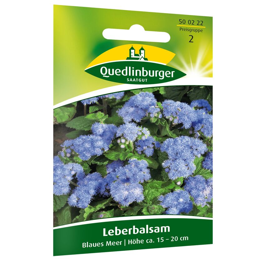 Leberbalsam 'Blaues Meer'
