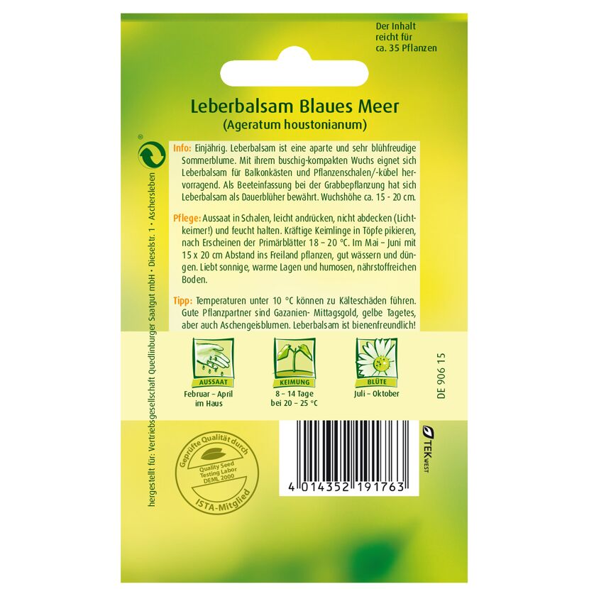 Leberbalsam 'Blaues Meer'