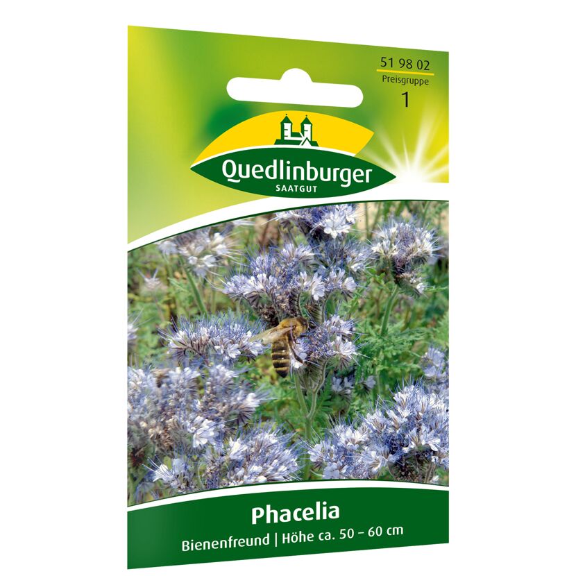 Phacelia 'Bienenfreund'
