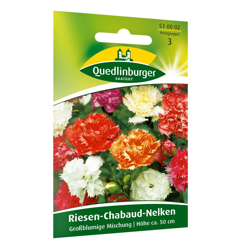 Riesen Chabaudnelken großblumig, Mischung