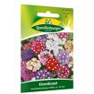 hauptbild