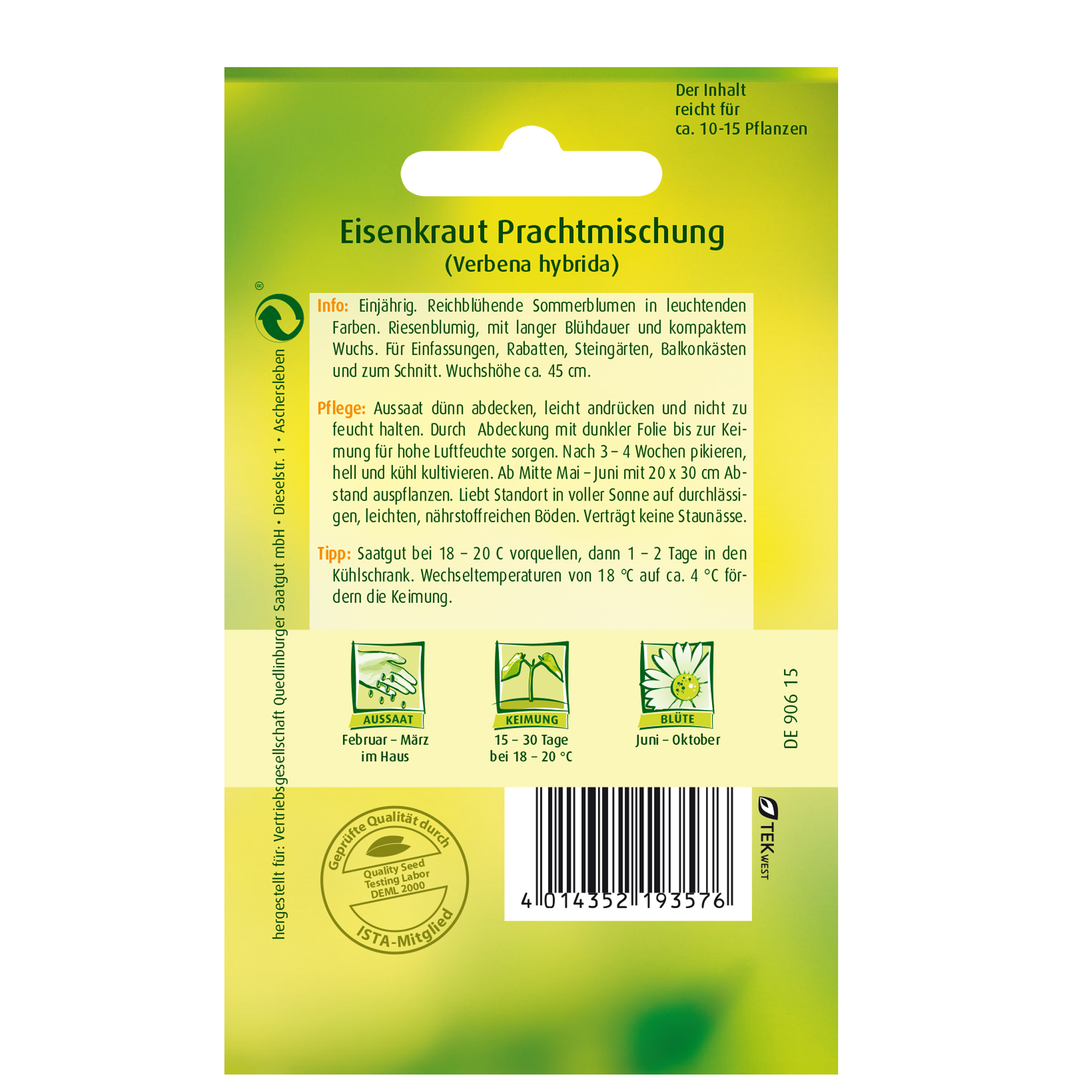 Eisenkraut 'Prachtmischung' + product picture
