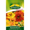 hauptbild