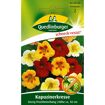 hauptbild