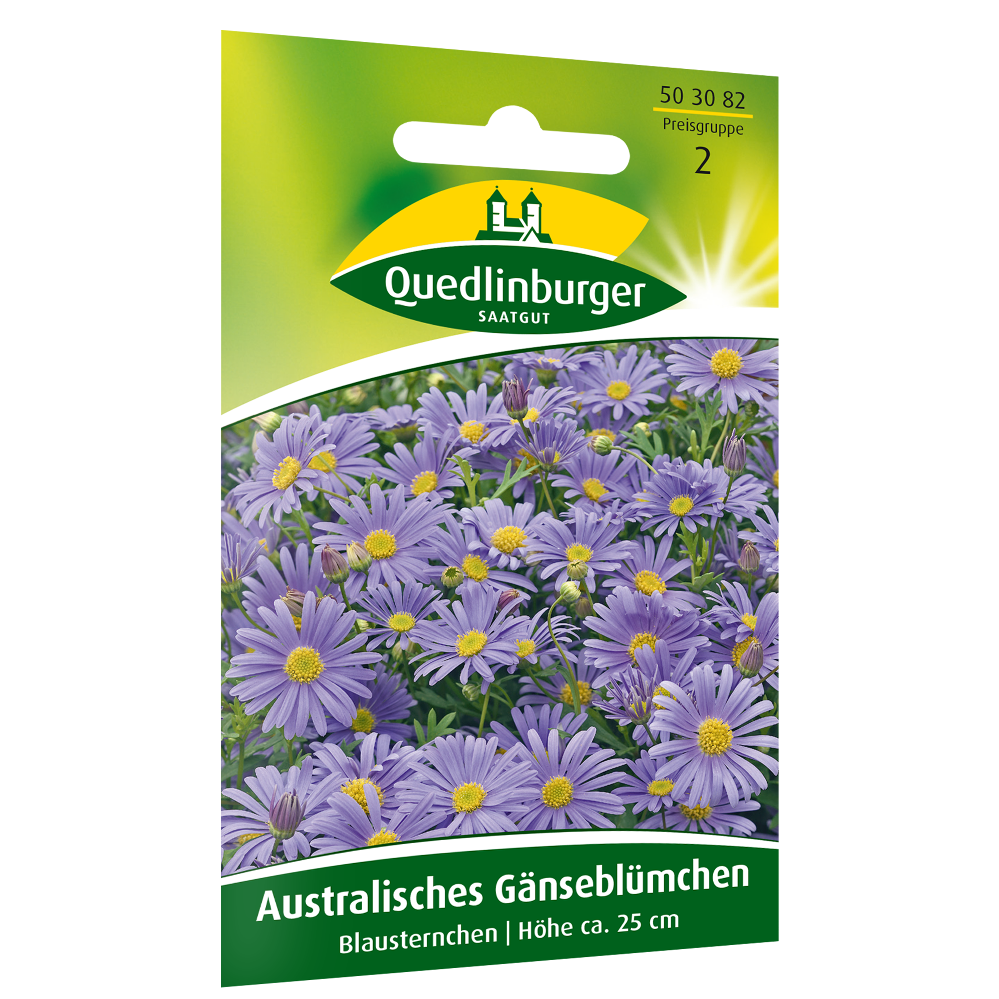 Australisches Gänseblümchen 'Blausternchen' + product picture