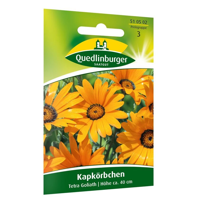 Kapkörbchen 'Tetra Goliath'