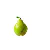 Naturtalent by toom® Bio Birne 'Köstliche v Charneux', Busch 26 cm Topf