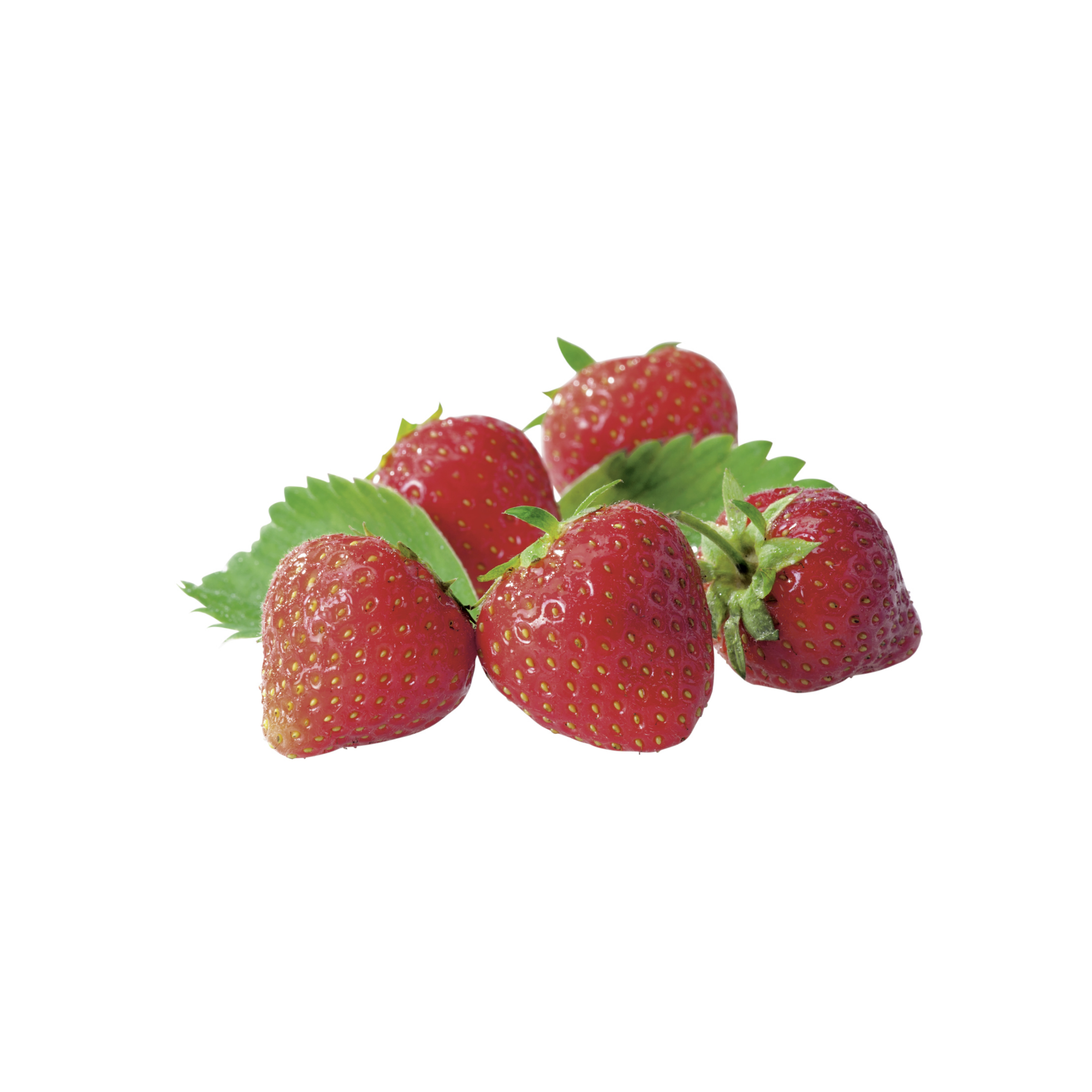 Naturtalent by toom® Bio Erdbeere 'Vima® Zanta', 6er Tray + product picture