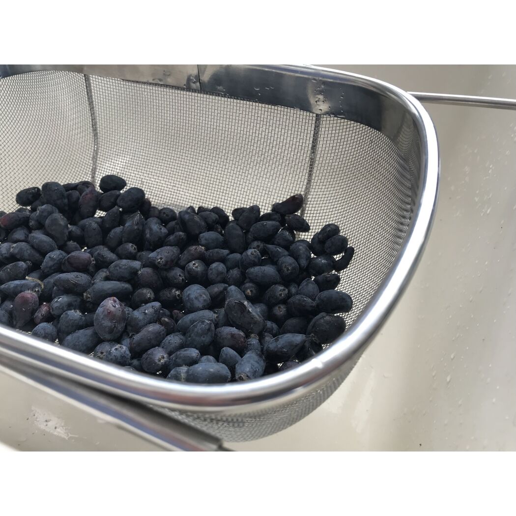 Frische Blaubeeren im Sieb